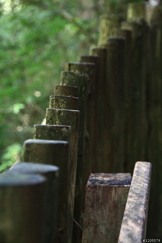 方便+快速,旅遊鏡新選擇 x Sigma 18-250mm F3.5-6.3 DC OS HSM