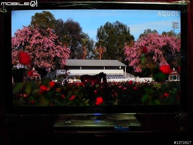 LED+240Hz 三星SAMSUNG美規機皇55吋UN55B8000 新機實測