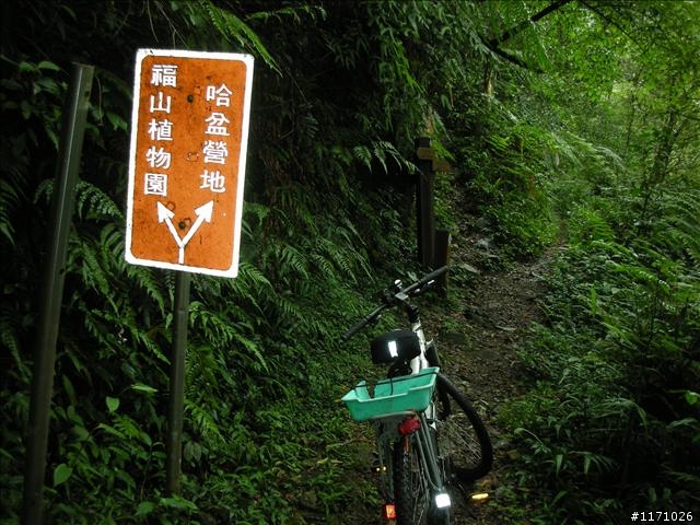 烏來三越嶺完結篇----哈盆越嶺