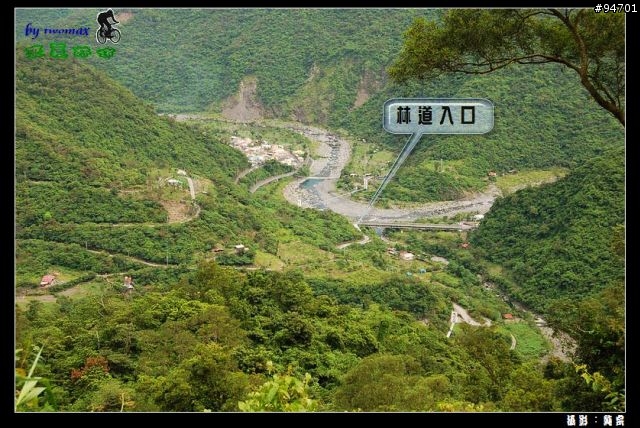 來義林道