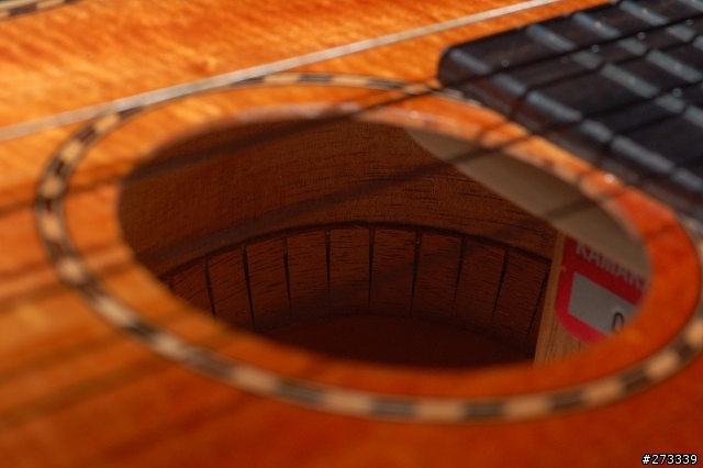 kamaka ukulele ! 烏克麗麗開箱 !