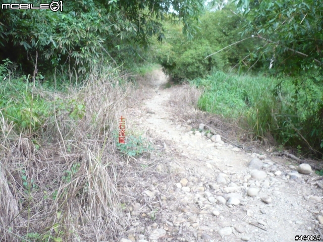登山車之天堂路 彰化 社頭 ==> 南投 橫山 南投坑 產業道路