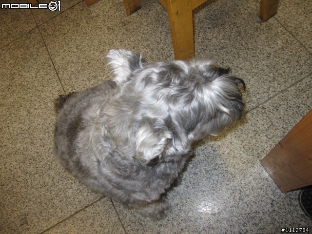 2009四極點環島--0712~0718七天六夜(0725新增紀錄片)