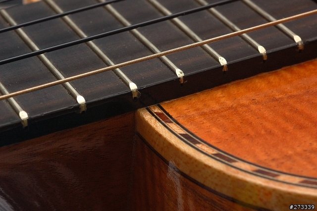 kamaka ukulele ! 烏克麗麗開箱 !
