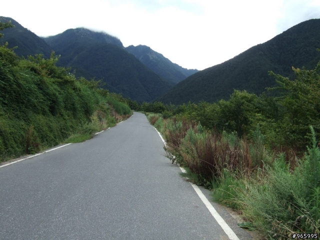 武陵農場遊記...探路失敗