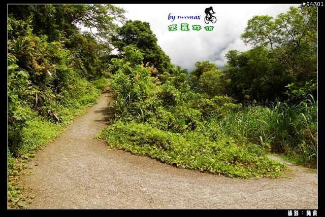 來義林道