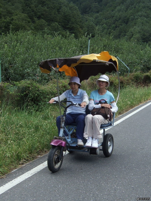 武陵農場遊記...探路失敗