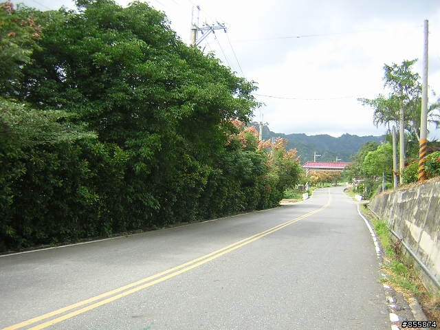 花東景點介紹之十~縣道197線