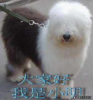 01美食王大賽-挑戰冷場王!