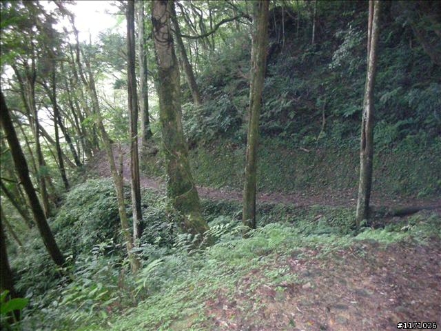 滿月圓、東眼山走一回