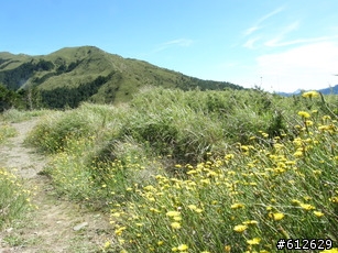 2009-08-01_大禹嶺公車旅遊+埔里的機車行半日遊