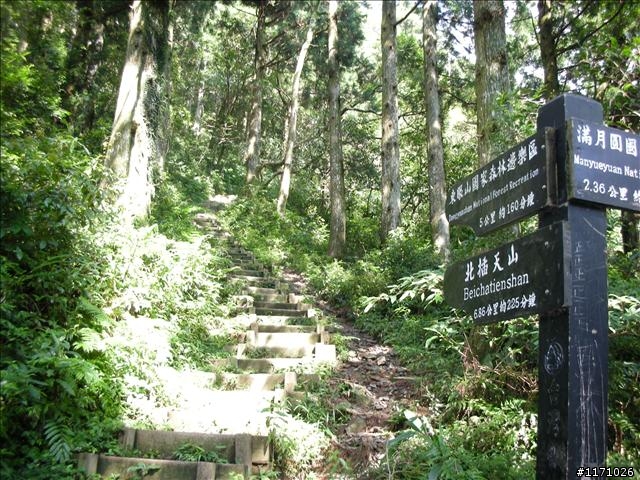 滿月圓、東眼山走一回