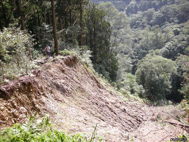 滿月圓、東眼山走一回