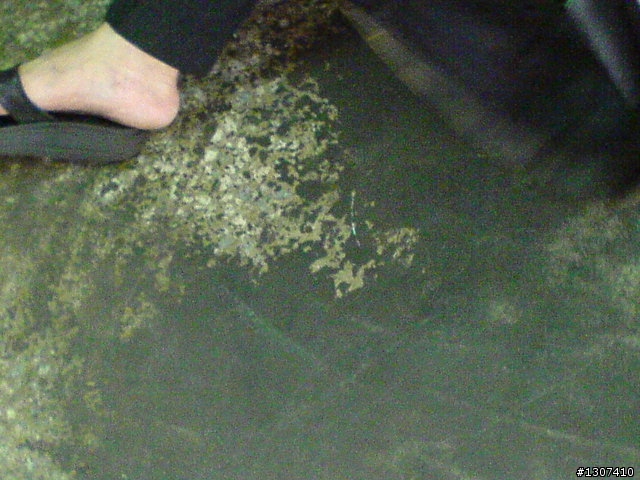 毛毛蟲坐墊開箱文 之對自己(小老弟)好一點.圖多請包涵(颱風雨水補圖)