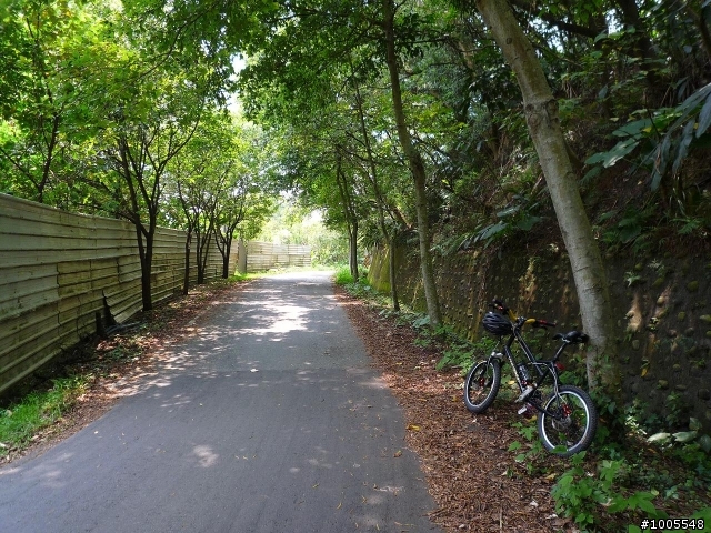 MV5騎樹林民和巷-大樹公-福源山步道
