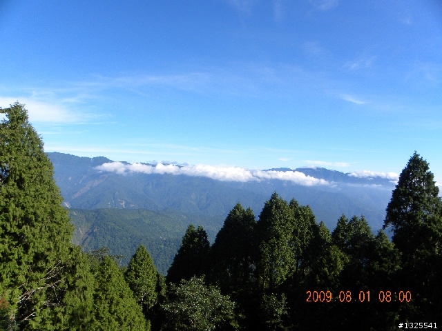 武嶺-梨山-太平山單車獨行--(下)