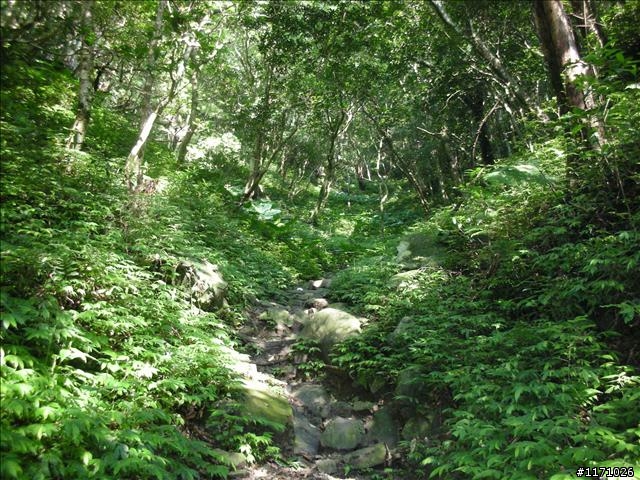 滿月圓、東眼山走一回