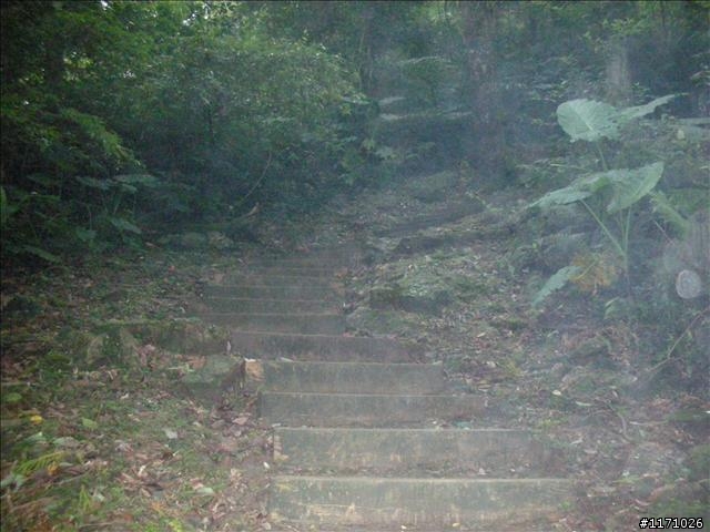 滿月圓、東眼山走一回