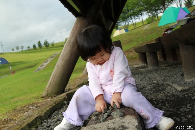 嬰兒拖車的無限可能—北海道の夏日薰風