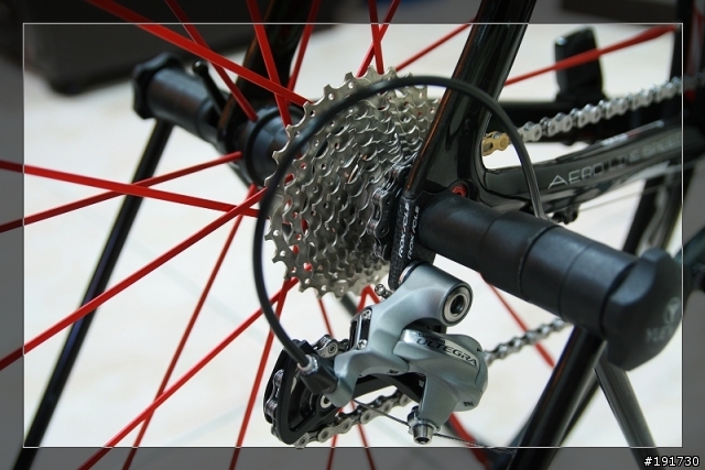 這箱~還是開在我們家就好,公路車 Roxycle。圖多