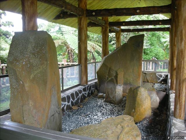 滿月圓、東眼山走一回