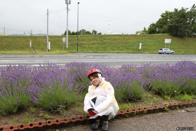 嬰兒拖車的無限可能—北海道の夏日薰風