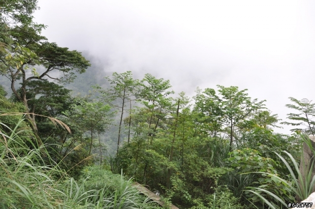 一個仍然炎熱的初秋午後,戀戀後山,深情宇老