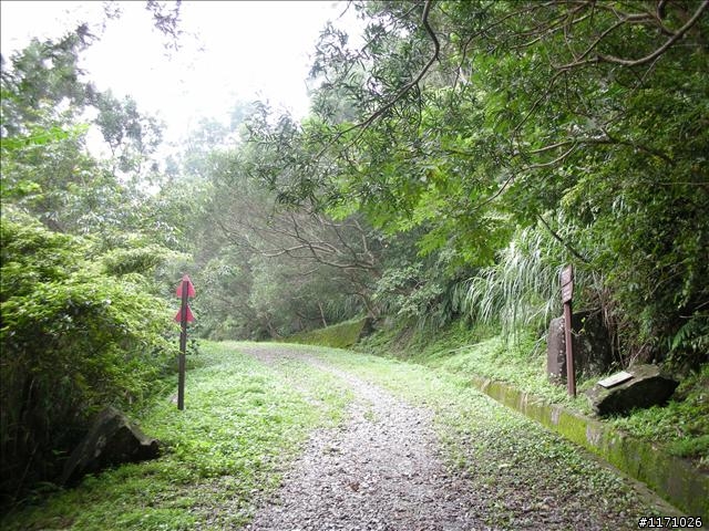 滿月圓、東眼山走一回