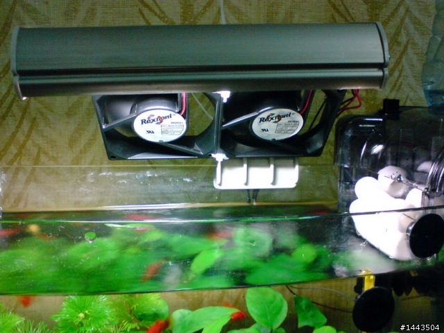 DIY~魚缸散熱風扇~