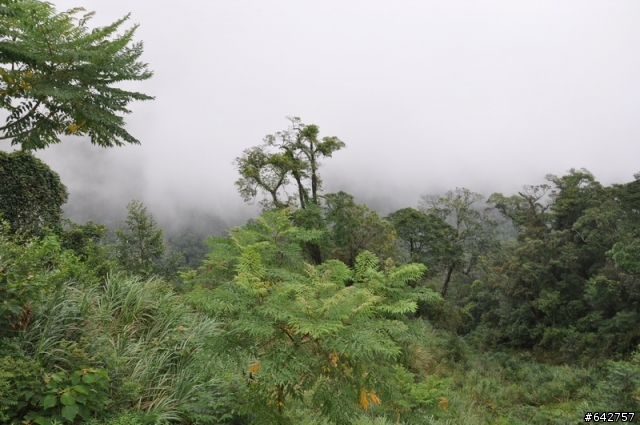 一個仍然炎熱的初秋午後,戀戀後山,深情宇老