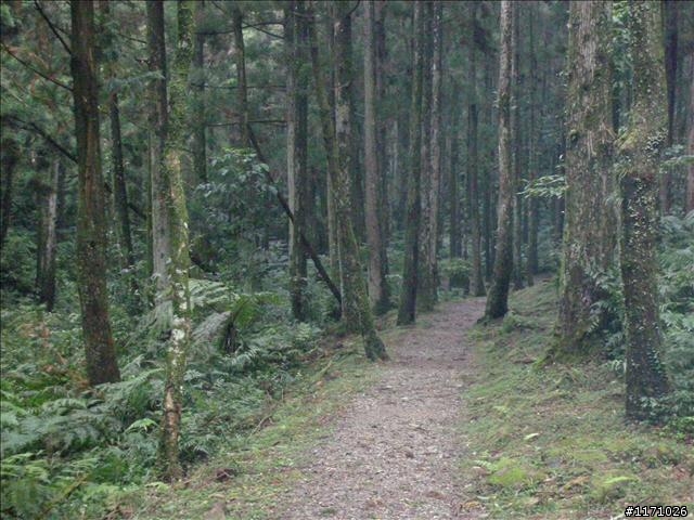 滿月圓、東眼山走一回