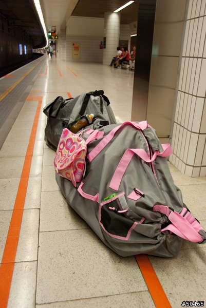 (新增高鐵+台鐵測試報告-97樓)日系風夢幻可拖行攜車袋-卡達家輪式攜車袋(給女王的好物)<我的第二次開箱文>