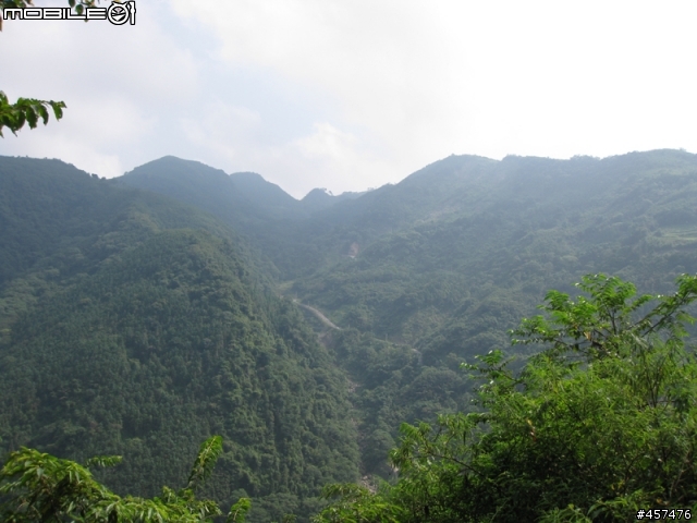 小蜻蜓與大蝸牛系列~羅山林道縻爛行之不去順時針大滿貫的原因
