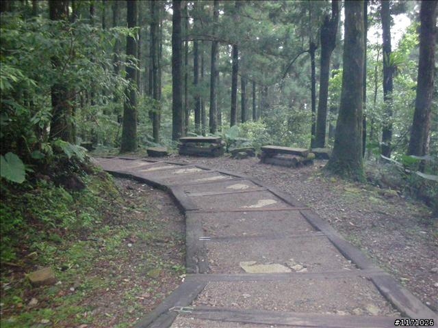 滿月圓、東眼山走一回