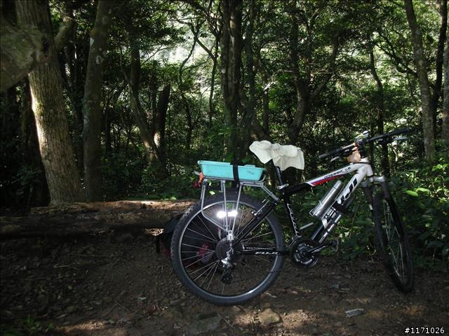 滿月圓、東眼山走一回