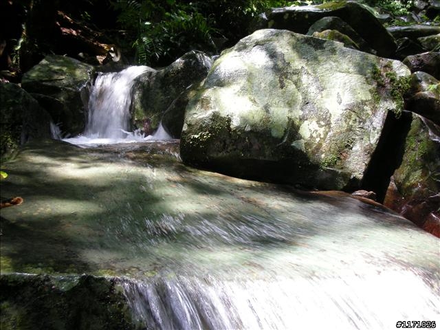 滿月圓、東眼山走一回