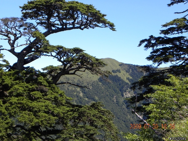武嶺-梨山-太平山單車獨行-(上)