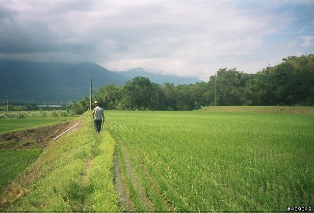 久別重逢,卻給我這樣的驚喜--Rollei Prego zoom