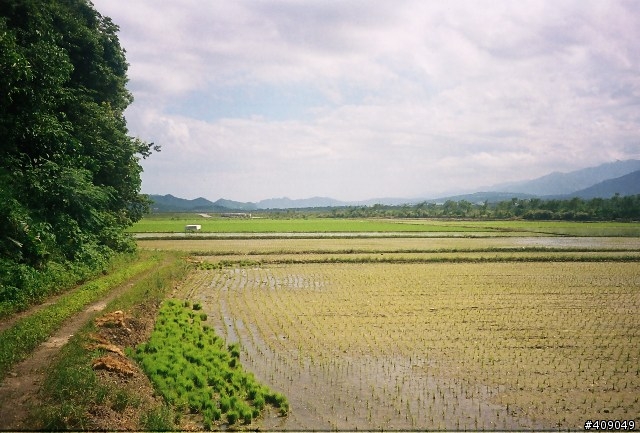久別重逢,卻給我這樣的驚喜--Rollei Prego zoom