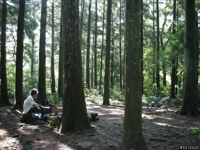 滿月圓、東眼山走一回