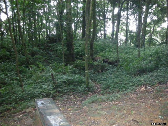 滿月圓、東眼山走一回