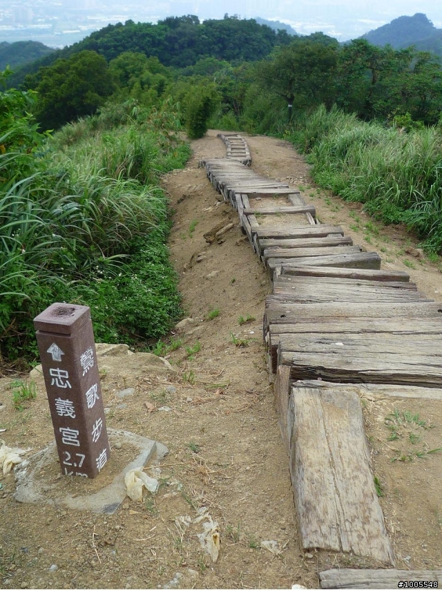 MV5騎樹林民和巷-大樹公-福源山步道