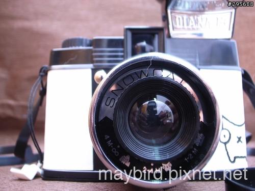 lomo Diana F+ 即可拍機背入手