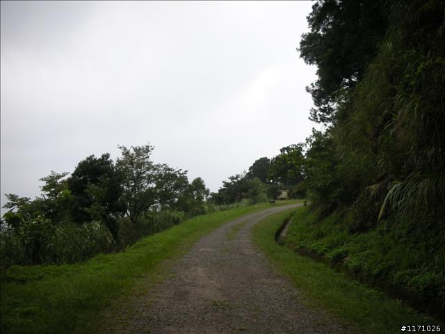 滿月圓、東眼山走一回