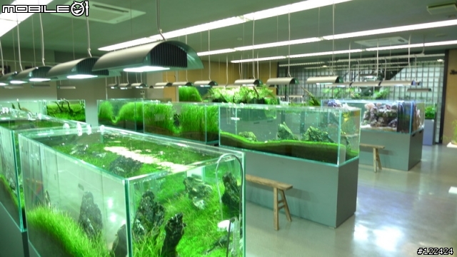 ADA 總部一遊記,8/2再度補充,8/3又再度補充..(圖多,慎入)
