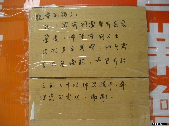 中和仁愛公園~小黑狗被汽車廠的工人遺棄~拜託!!幫忙推一下(有圖有真相~圖多)