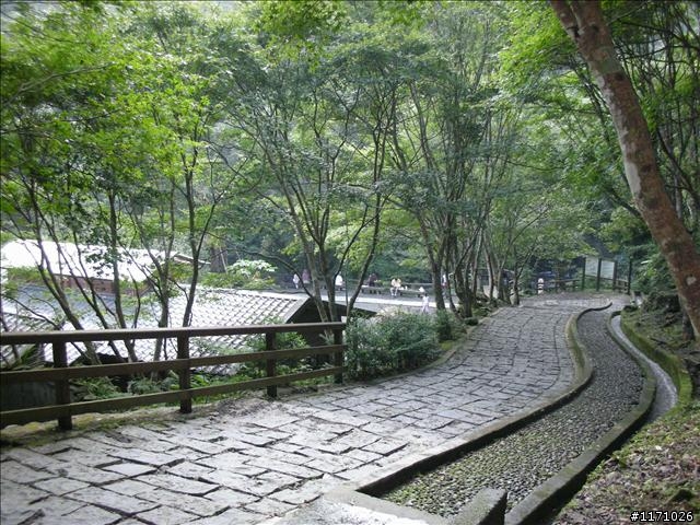 滿月圓、東眼山走一回