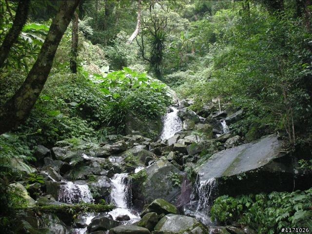 滿月圓、東眼山走一回