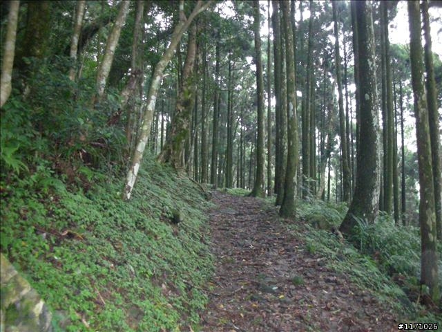 滿月圓、東眼山走一回