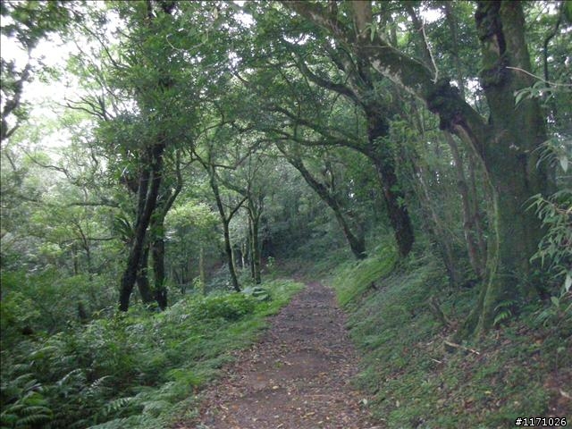 滿月圓、東眼山走一回